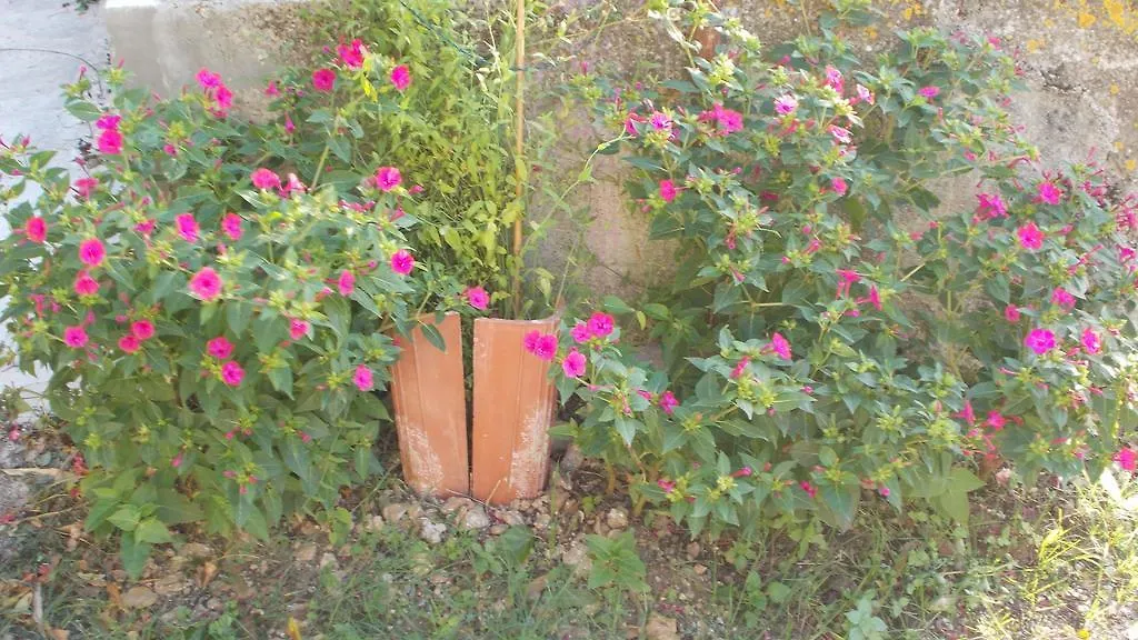 Guest House Accommodation Rupine Premantura 2*,