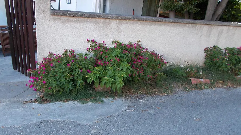 Guest House Accommodation Rupine Premantura 2*,